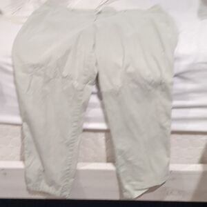 Light Sage Talbots Cropped Pants Plus Size 18